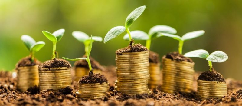 حل چالش تامین مالی استارتاپها